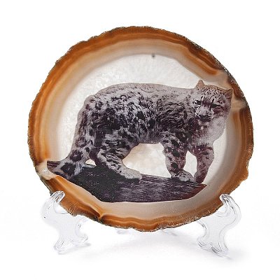 Printed Natural Agate Slice Stone Ornament DJEW-M011-03G-1