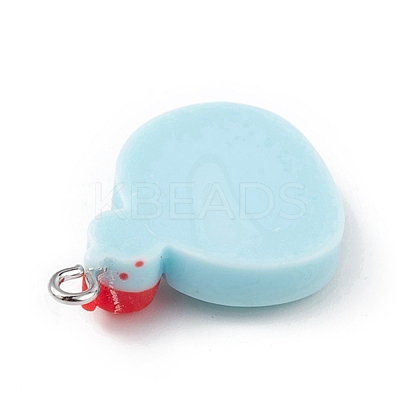 Opaque Resin Imitation Food Pendants RESI-D064-03P-14-1