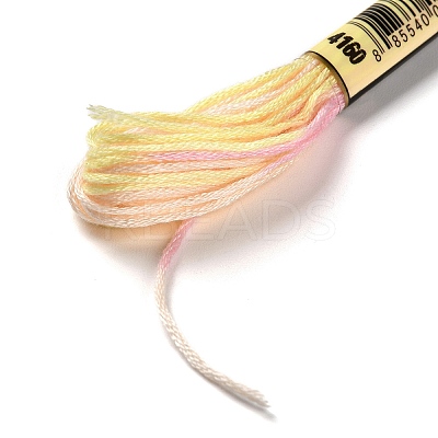 10 Skeins 6-Ply Polyester Embroidery Floss OCOR-K006-A50-1