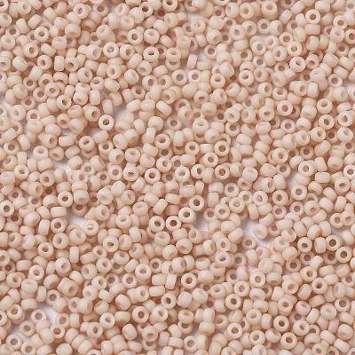 MIYUKI Round Rocailles Beads X-SEED-G009-RR2023-1