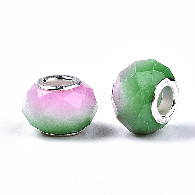 Baking Painted Glass European Beads DGLA-N033-05A-C03-1