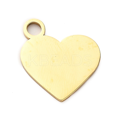 304 Stainless Steel Pendants STAS-M117-01B-G-1