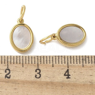 304 Stainless Steel Natural Paua Shell/White Shell Charms Ion Plating(IP) STAS-U037-03G-02-1