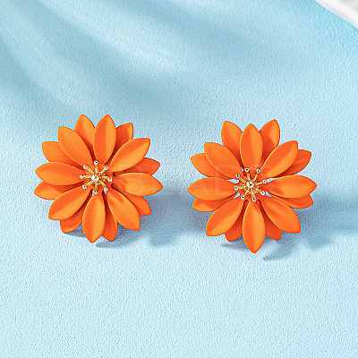 Alloy Stud Earrings FS-WG4E97C-01-1