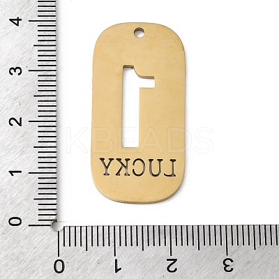 304 Stainless Steel Pendants STAS-D200-02B-G-1