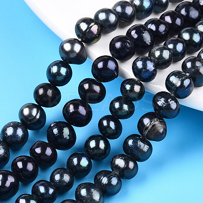 Natural Cultured Freshwater Pearl Beads Strands PEAR-N013-07G-1