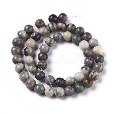Natural Zebra Jasper Beads Strands G-E551-C-03-1