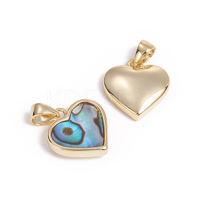 Natural Abalone Shell/Paua Shell Charms KK-L196-14B-1