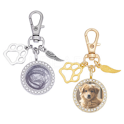 Alloy Crystal Rhinestone Locket Pendant Decorations HJEW-NB00242-1