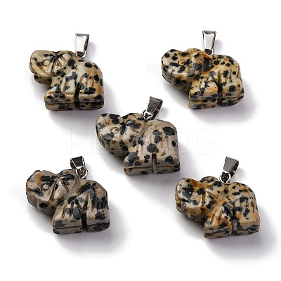 Natural Dalmatian Jasper Pendants G-B127-05P-08-1