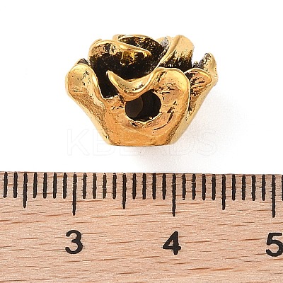 Tibetan Style Alloy Beads FIND-C060-014AG-1