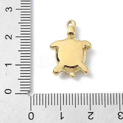 304 Stainless Steel Pendants STAS-L022-440G-01-1