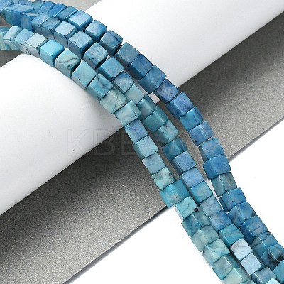 Natural Howlite Beads Strands G-C135-E03-01-1