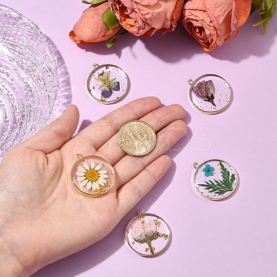 5Pcs 5 Styles Transparent Clear Epoxy Resin Pendants RESI-YW0004-21-1