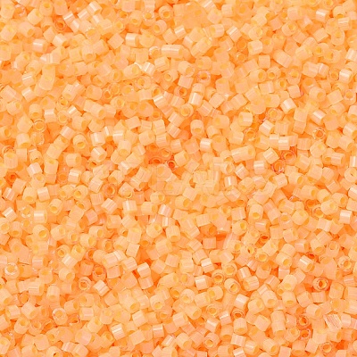 MIYUKI Delica Beads X-SEED-J020-DB1855-1