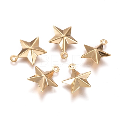 304 Stainless Steel Pendants STAS-I138-12G-1