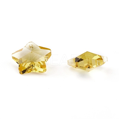 Transparent Glass Pendants X-GLAA-P037-04-12-1
