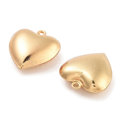 316 Surgical Stainless Steel Pendants STAS-B072-03G-02-1