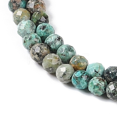 Natural African Turquoise(Jasper) Beads Strands LS-G-N342-29B-1