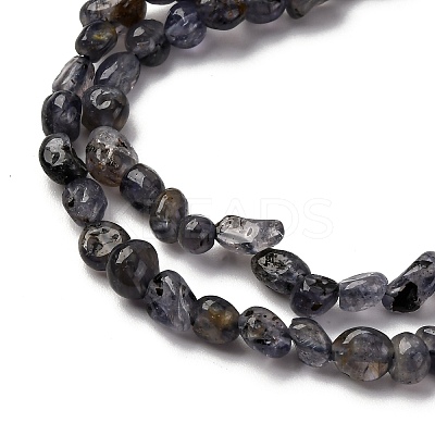 Natural Iolite/Cordierite/Dichroite Beads Strands G-I389-A34-01A-1