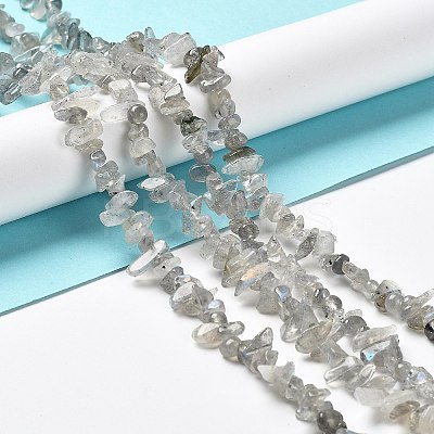 Natural Labradorite Beads Strands G-E607-A02-1