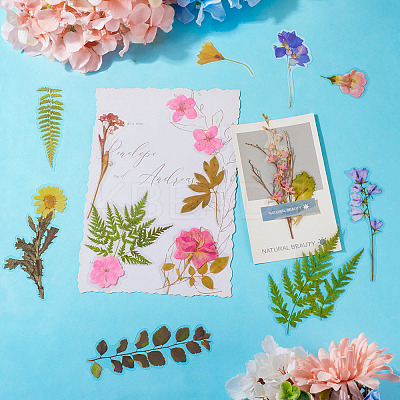 4 Bags 4 Styles Plant PET Adhesive Waterproof Stickers DIY-TA0009-84-1