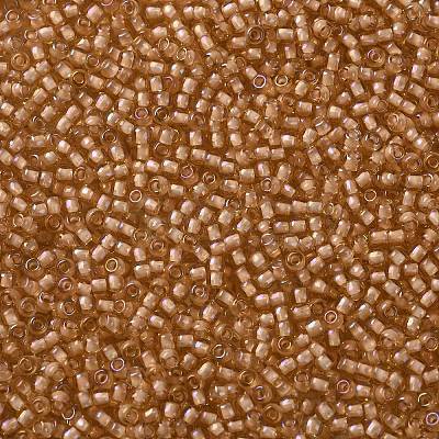 TOHO 11/0 Round Beads X-SEED-TR11-0923-1
