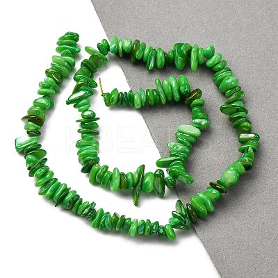 Natural Freshwater Shell Beads Strands BSHE-I016-01D-1
