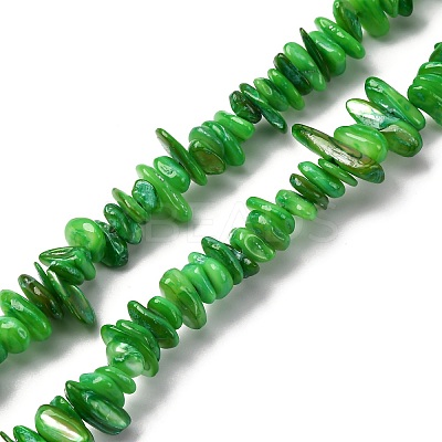 Natural Freshwater Shell Beads Strands BSHE-I016-01D-1