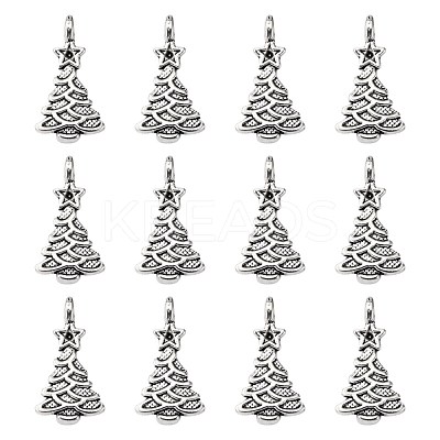 Tibetan Style Alloy Pendants LF0062Y-NF-1