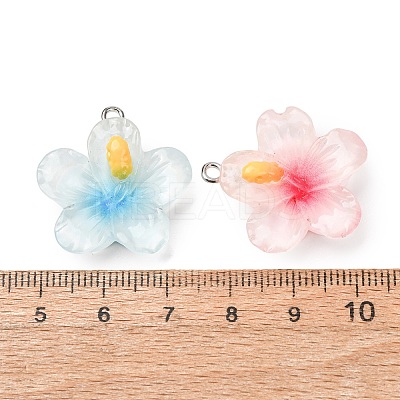 Transparent Resin Pendants RE-CBA5F64-01-1