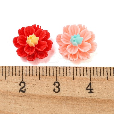 Opaque Resin Decoden Cabochons CRES-I035-06-1