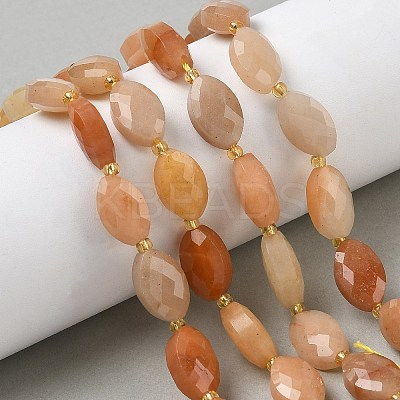 Natural Red Aventurine Beads Strands G-A295-A04-01-1