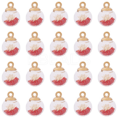 20Pcs Transparent Glass Globe Pendants GLAA-TA0003-57B-1