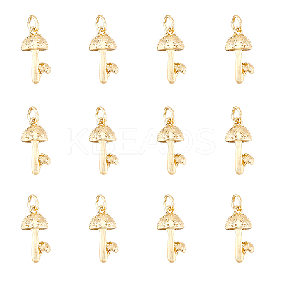 12Pcs Brass Pendants KK-DC0002-20-1