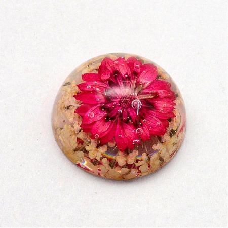Resin Cabochons RESI-S320-16mm-61-1