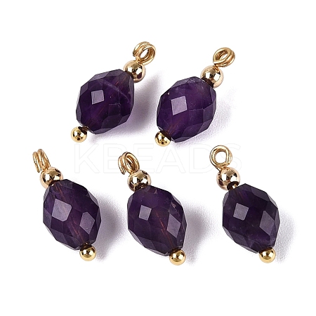 Natural Amethyst Pendants GG-N004-02G-05-1