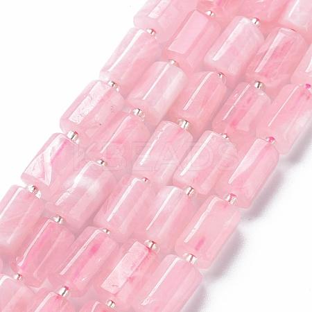 Natural Rose Quartz Beads Strands G-S345-8x11-014-1