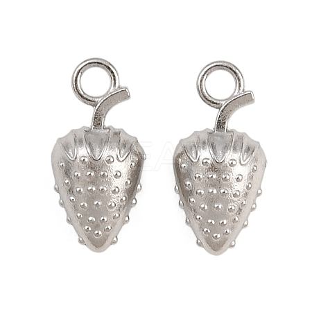 304 Stainless Steel Charms SA-CBAC865-04C-P-1