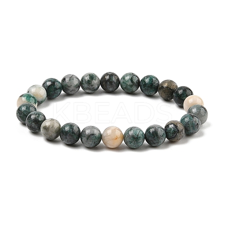 Natural Dioptase Round Beaded Stretch Bracelets BJEW-JB11195-01-1