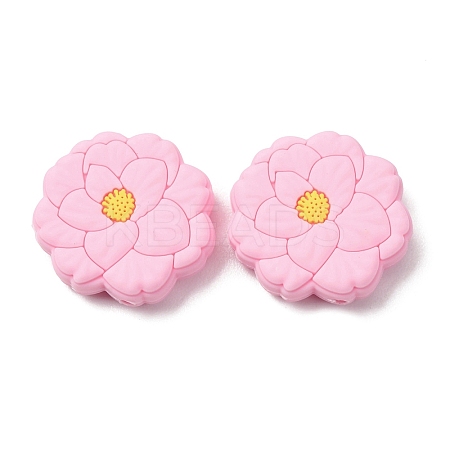 Silicone Beads SL-CBACA92-04-1