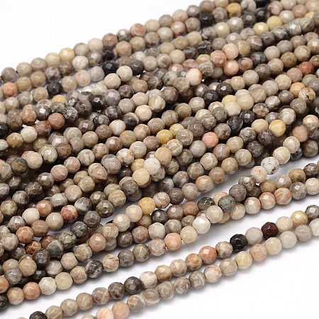 Natural Fossil Coral Round Bead Strands G-O094-08-4mm-1