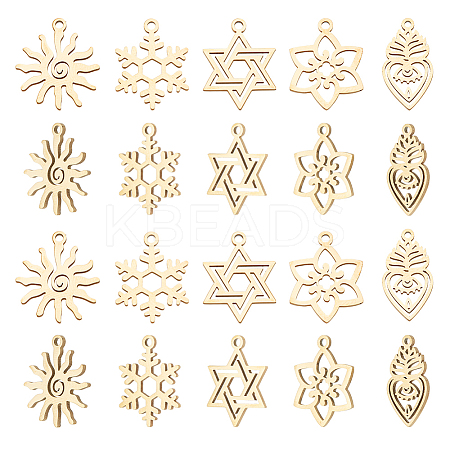 20Pcs 5 Styles Ion Plating(IP) 316L Surgical Stainless Steel and 304 Stainless Steel Pendants STAS-AN0001-04-1