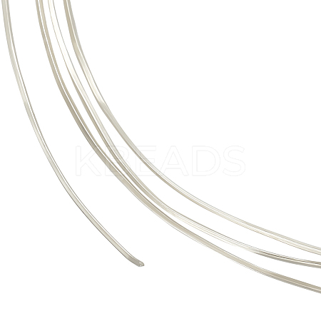 1Pc Flat 925 Sterling Silver Wires STER-BC0002-25A-1