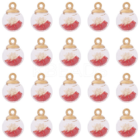 20Pcs Transparent Glass Globe Pendants GLAA-TA0003-57B-1