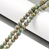 Natural Maifanite/Maifan Stone Beads Strands X-G-P451-01C-E-2