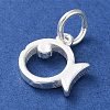 925 Sterling Silver Hollow Fish Charms with Jump Rings LS-STER-E071-01S-09-2