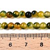 Dyed Natural White Jade Beads Strands G-T140-4mm-A14-5