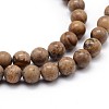 Natural Picture Jasper Round Bead Strands G-J303-08-8mm-3