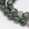 Natural Moss Agate Beads Strands G-F342-02-8mm-1